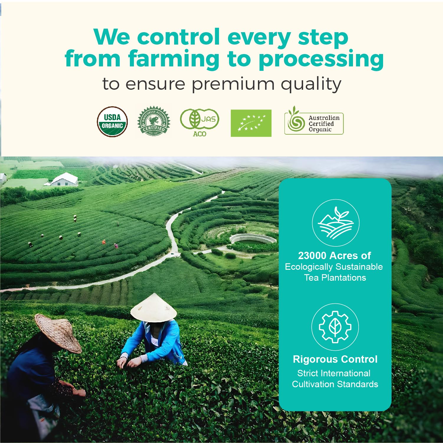 Emerail plateau leaves near Fanjing Mountain signaling premium origin
