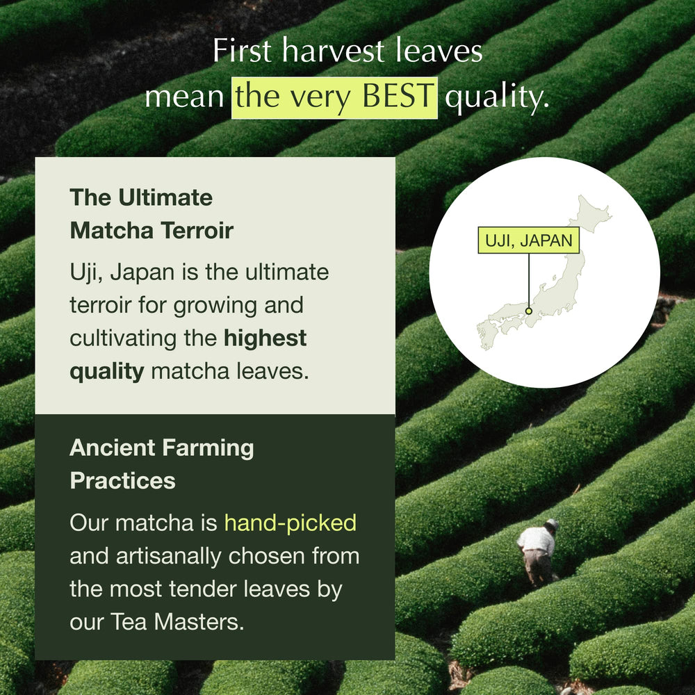 Encha latte grade matcha powder added to smoothies for balanced flavor.
