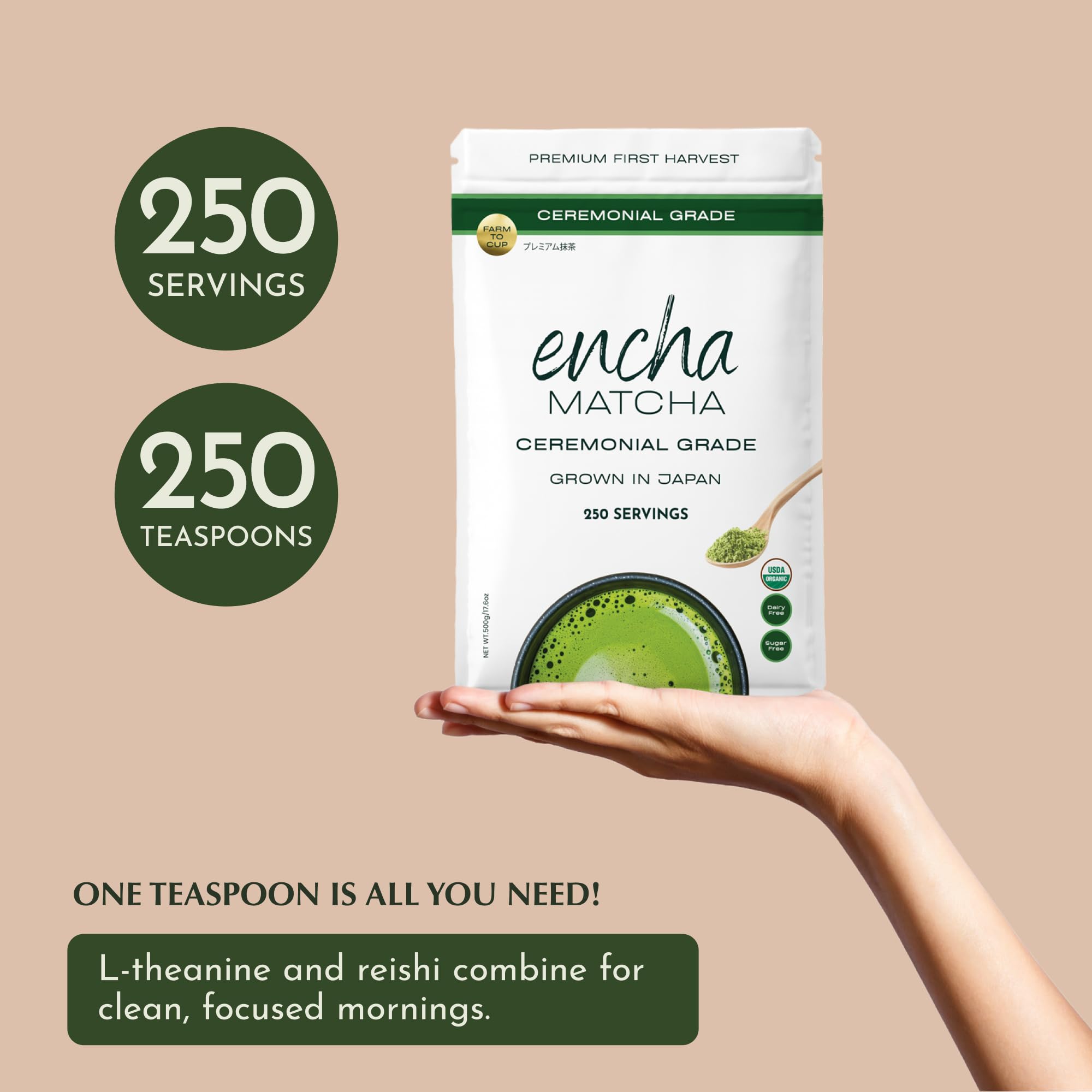 Brewing steps for Encha matcha at 160°F for balanced flavor.