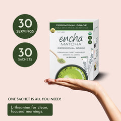Foamy Encha matcha in a cup ready for a smooth whisking ritual.