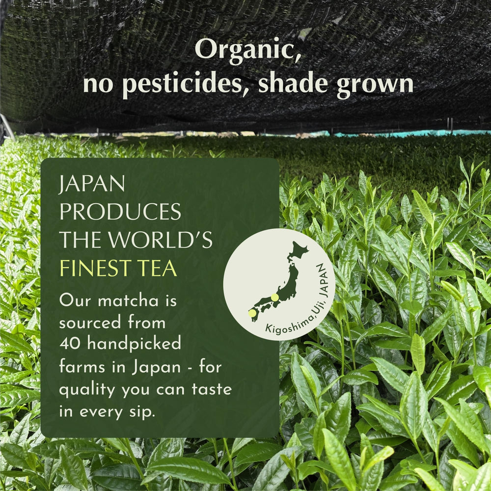 Encha organic certification label highlighting USDA organic quality.