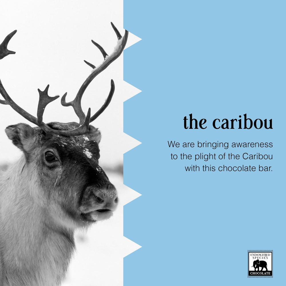 Endangered Species ingredients close-up highlights no artificial additives and simple ingredients