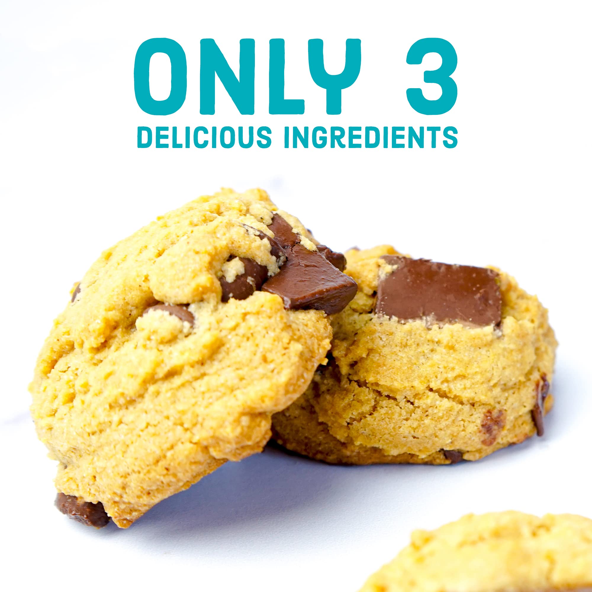 Enjoy Life vegan, kosher certified chips for dairy-free baking and desserts