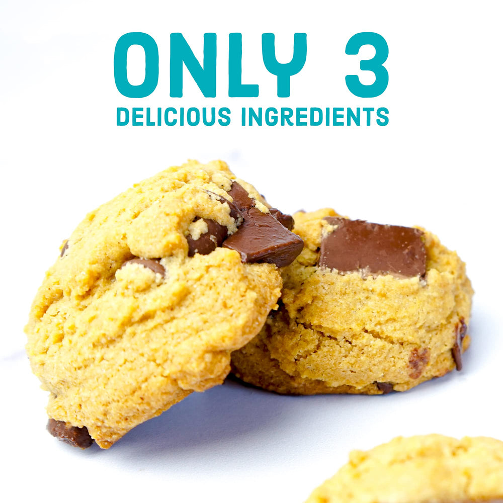 Enjoy Life vegan, kosher certified chips for dairy-free baking and desserts