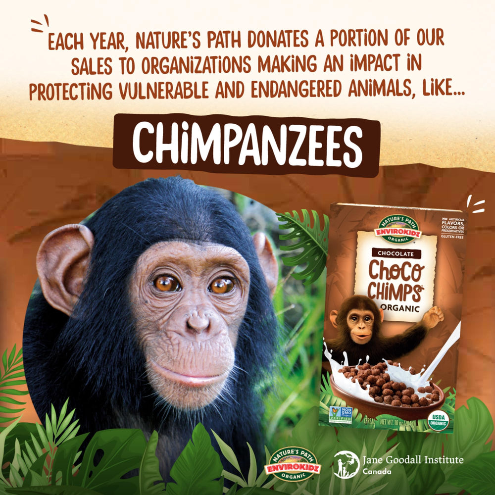 EnviroKidz Choco Chimps pouring into milk, crunchy texture in a bowl