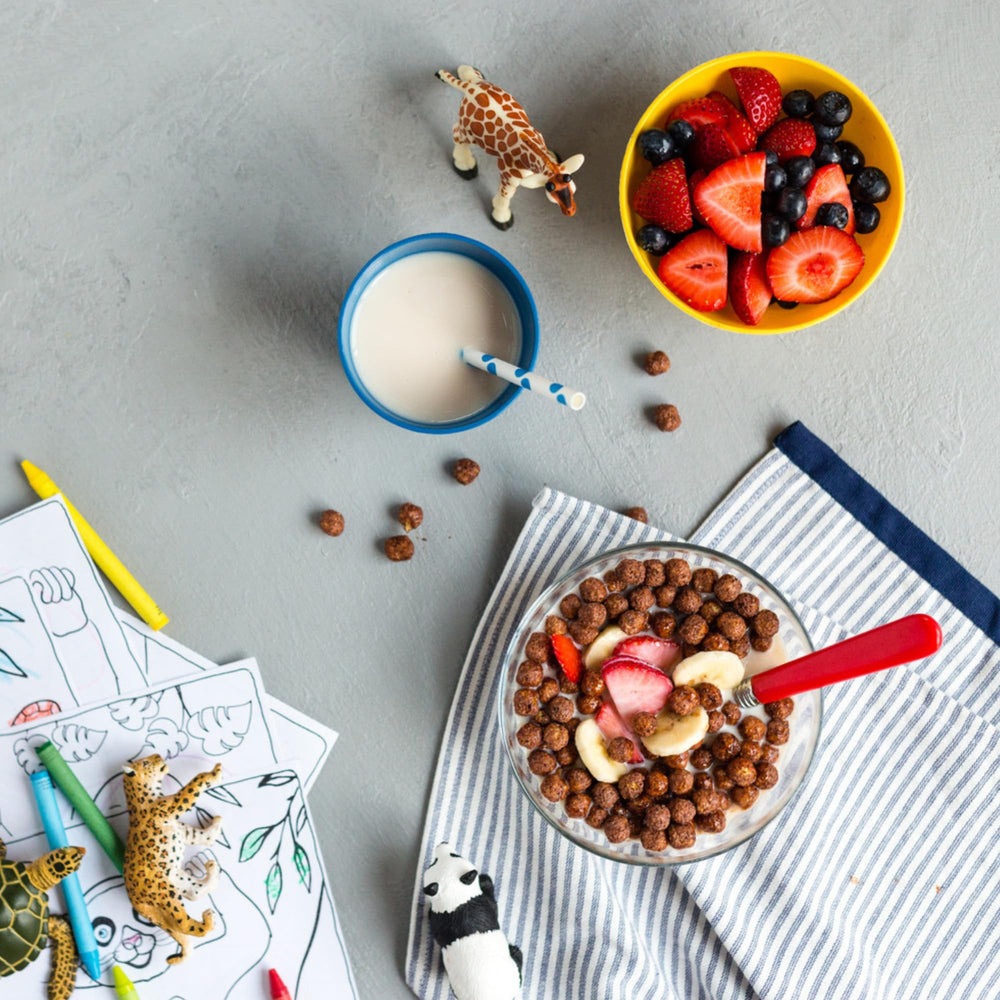 EnviroKidz conservation education visuals included with cereal