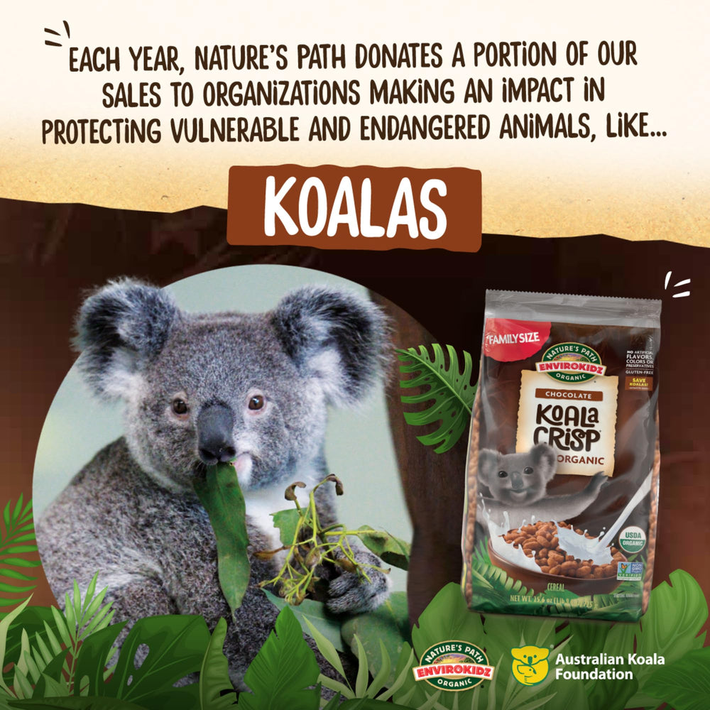 Closeup of EnviroKidz Koala Crisp texture and cocoa flavor