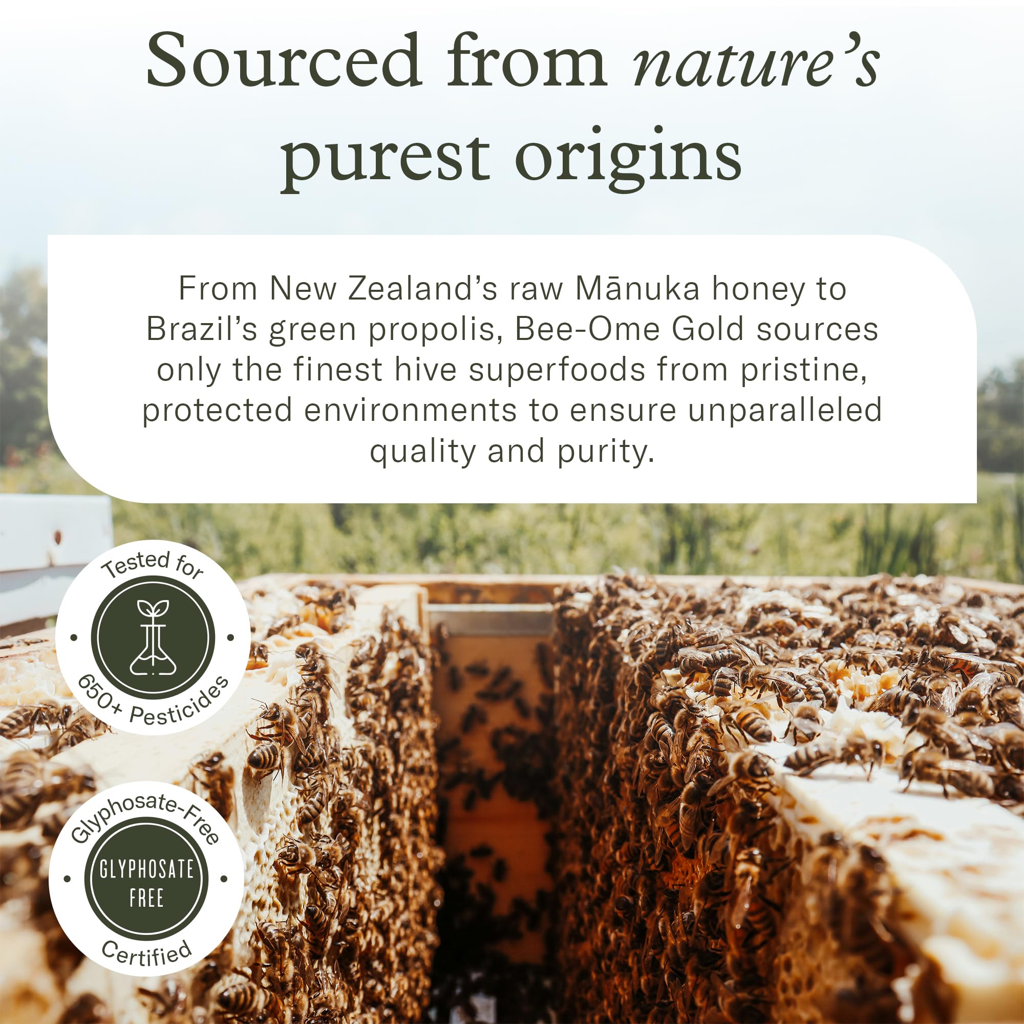 Enviromedica Bee-Ome Gold pouring into tea shows versatile consumption