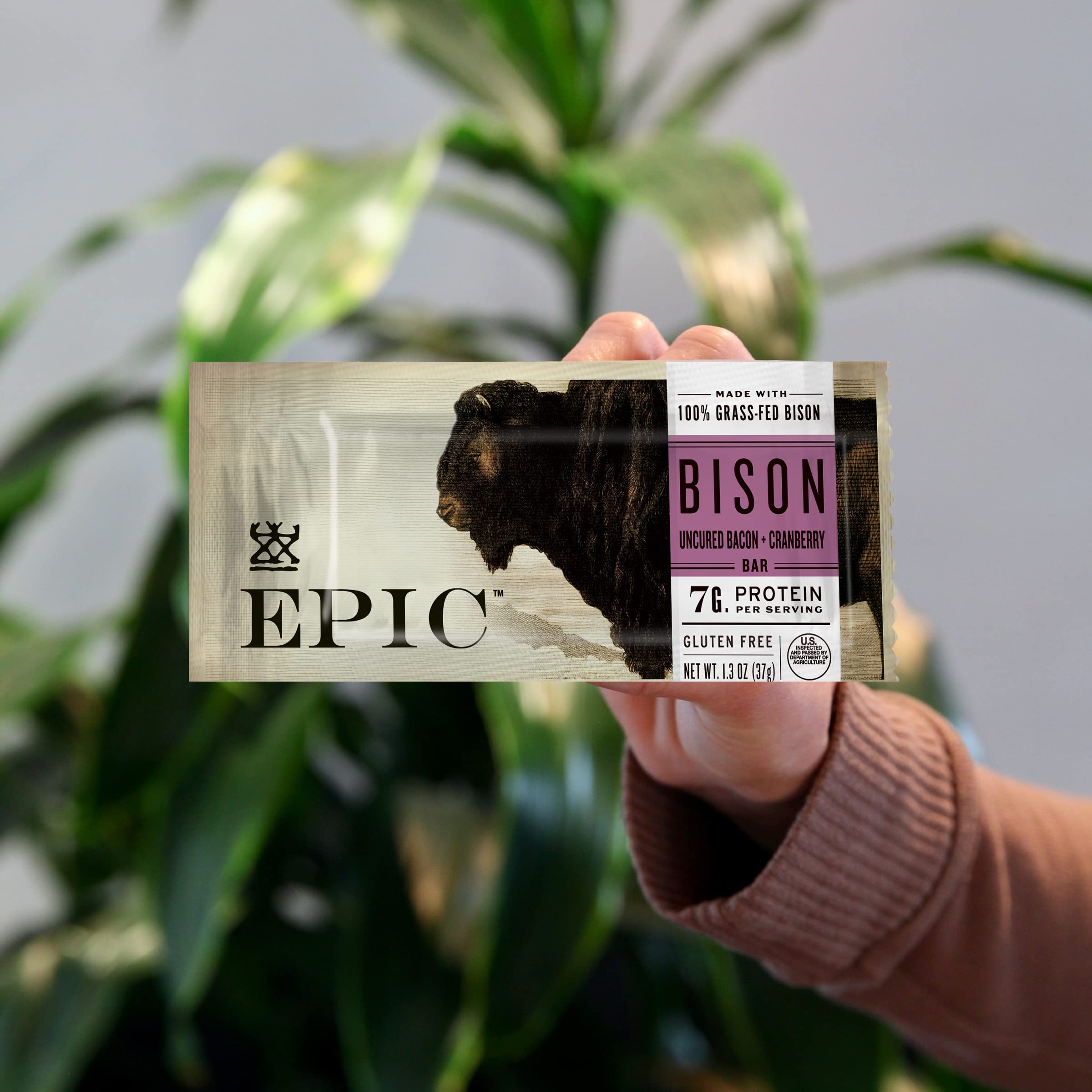 Bar lineup displaying texture and color of EPIC snack bars.