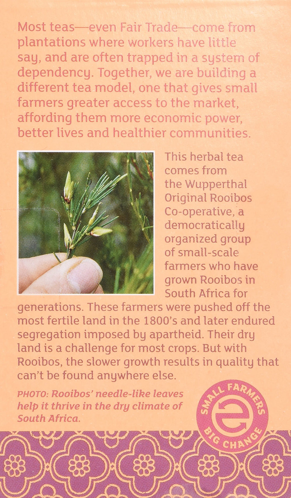 Equal Exchange Vanilla Rooibos Tea steeping bag releasing warm vanilla notes.