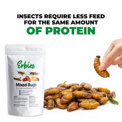 Erbies protein-packed snacks ideal for on-the-go energy during busy days.