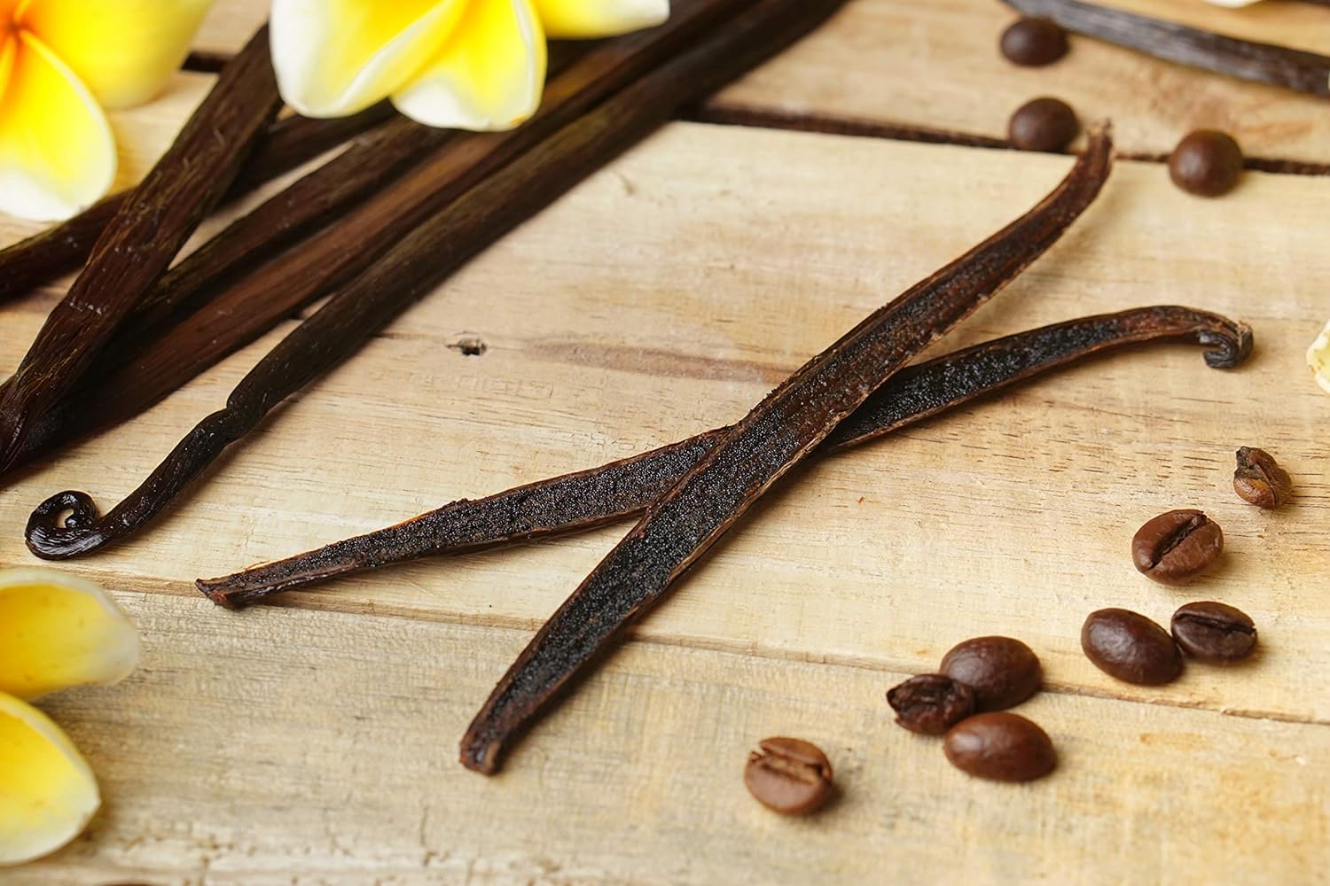 ESSENCE Vanilla beans Grade A with strong aroma and full-bodied flavor