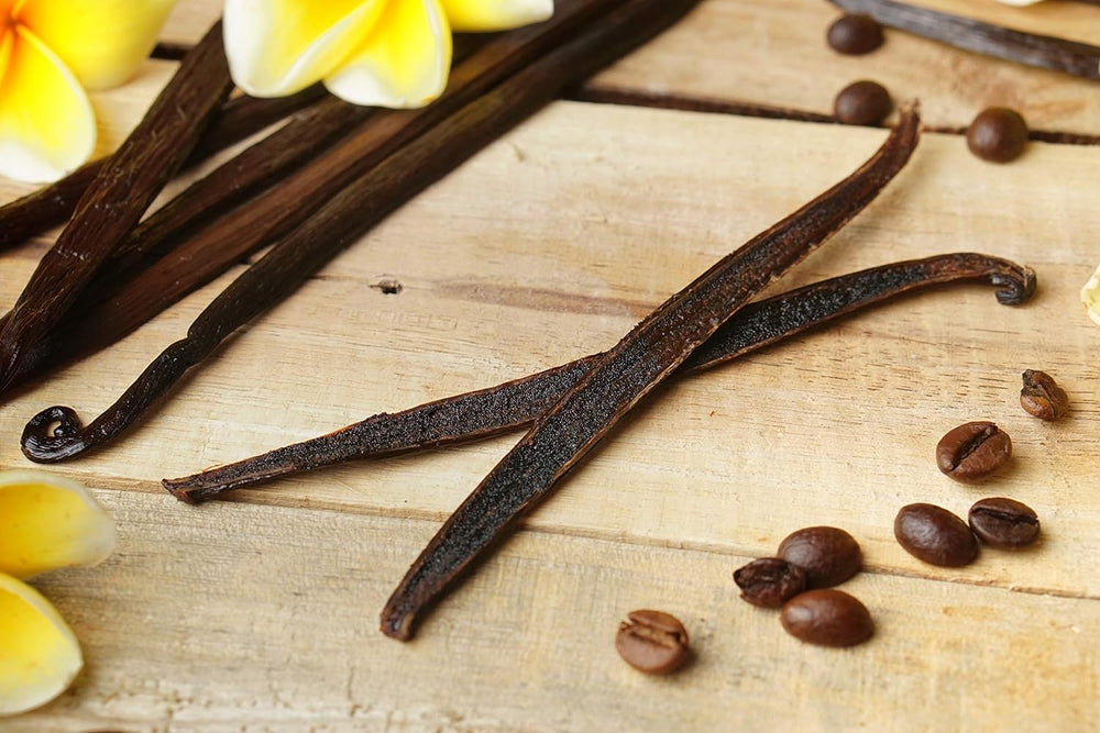 ESSENCE Vanilla beans Grade A with strong aroma and full-bodied flavor