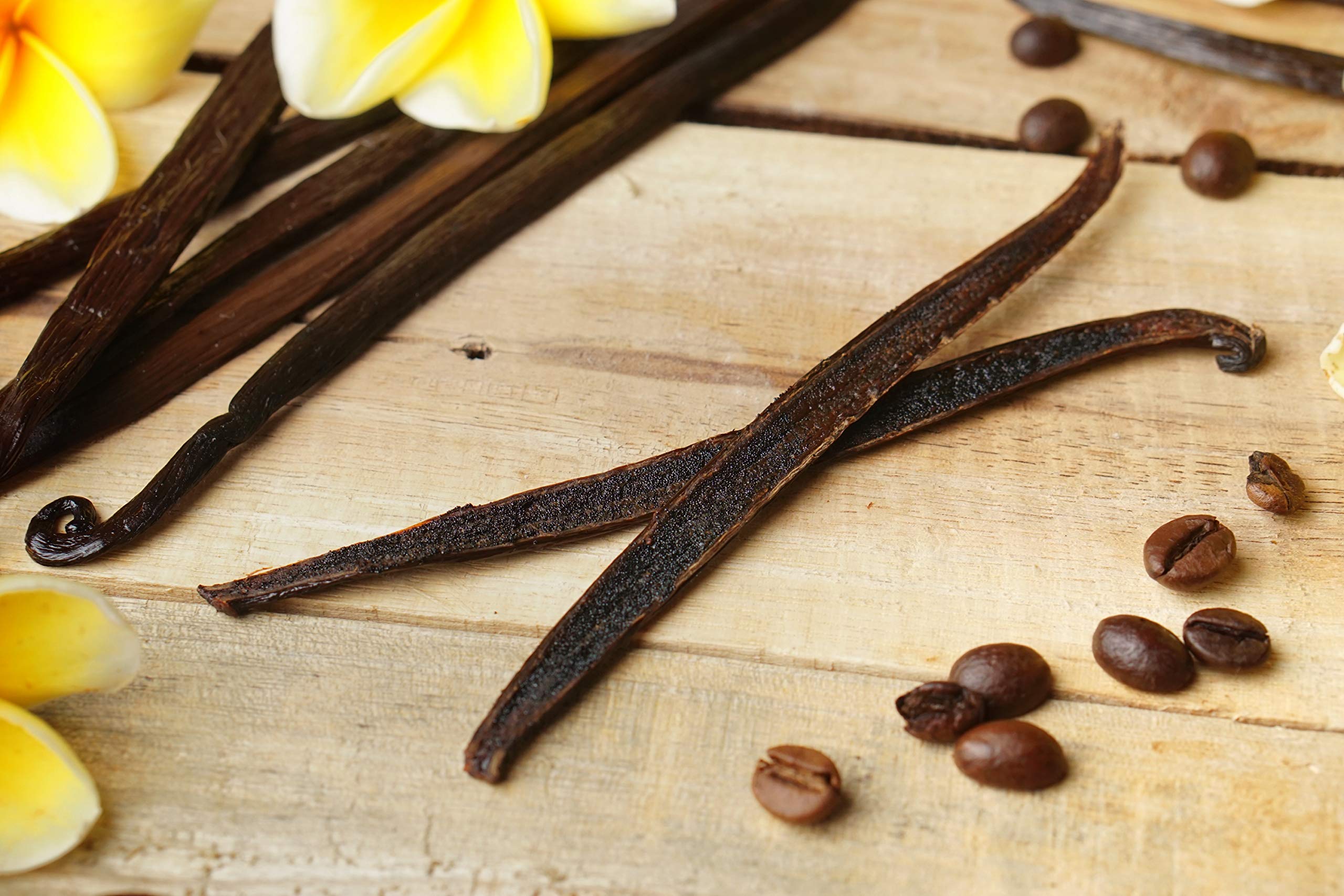 ESSENCE Vanilla beans suitable for premium extract and culinary uses