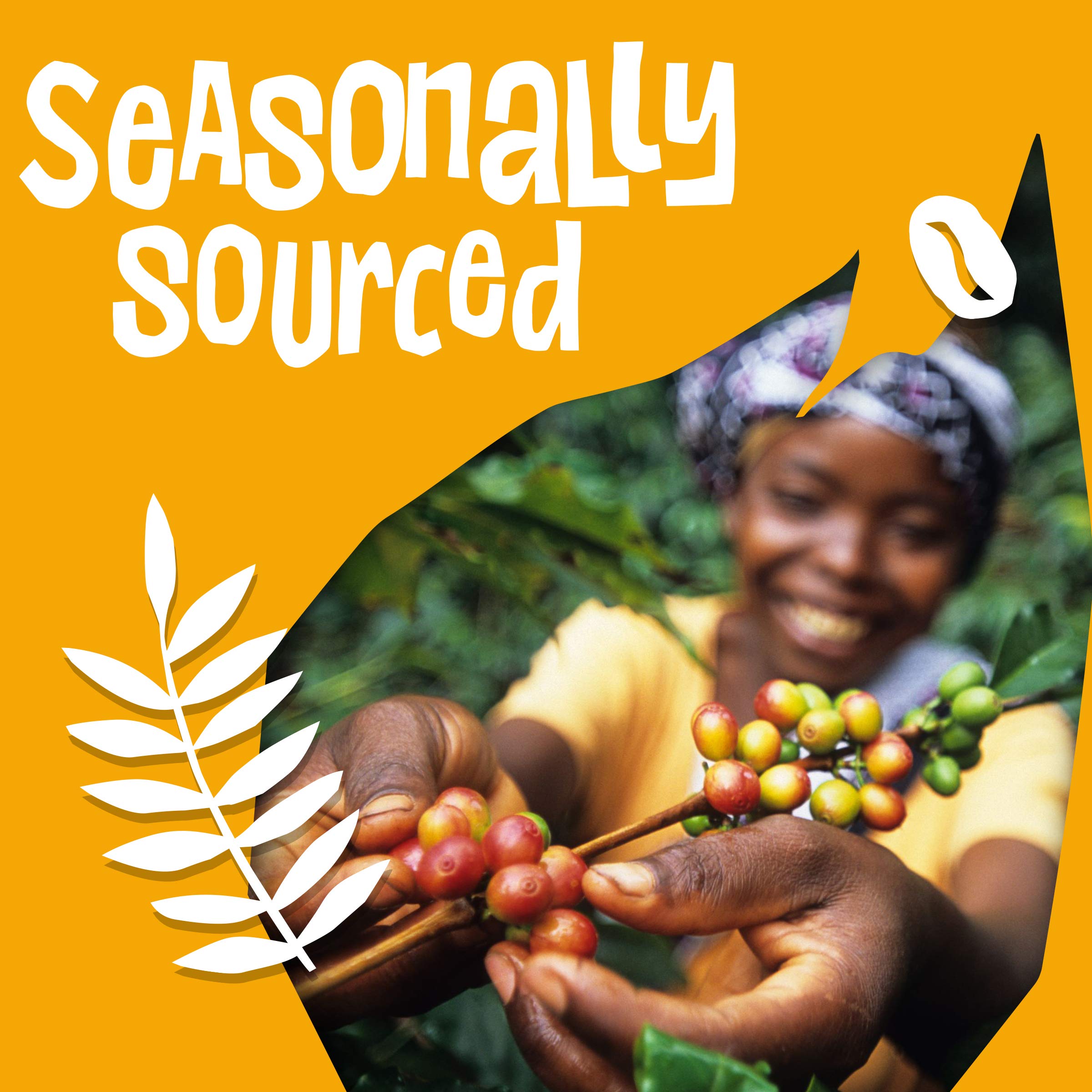 Ethical Bean QR code journey on pack lets you trace beans from crop to cup.