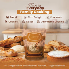 Eurasian Legacy High-Protein flour ready for bread and dough with structure.