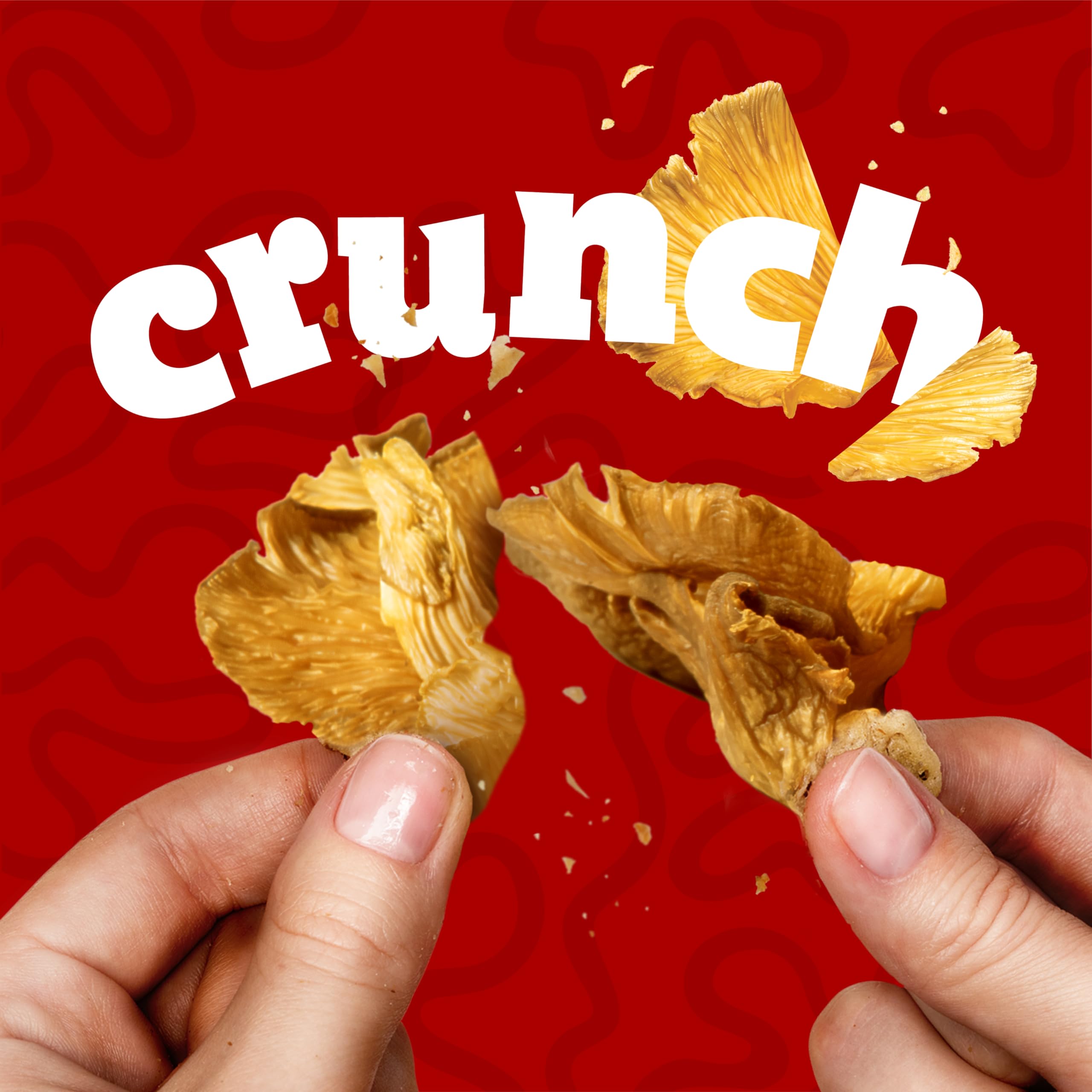 EVIL SNACKS Crunchy Mushroom Chips original serving, savory bite.