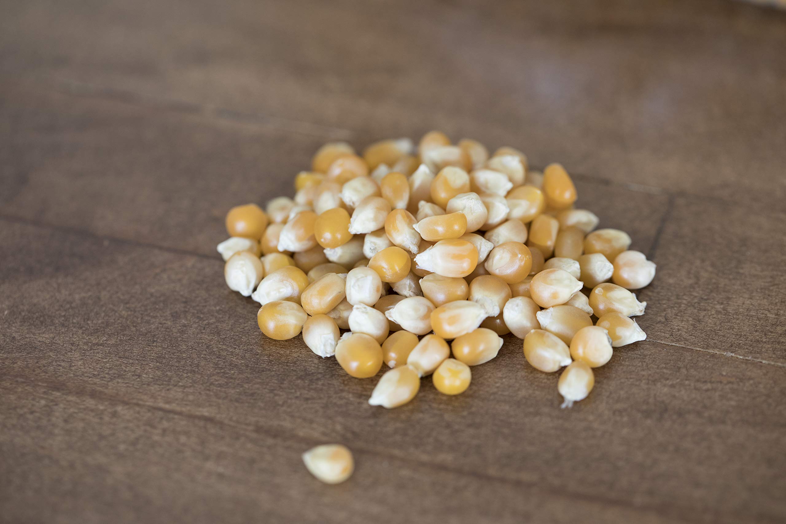 Close-up of extra-large caramel kernels ready for gourmet popcorn