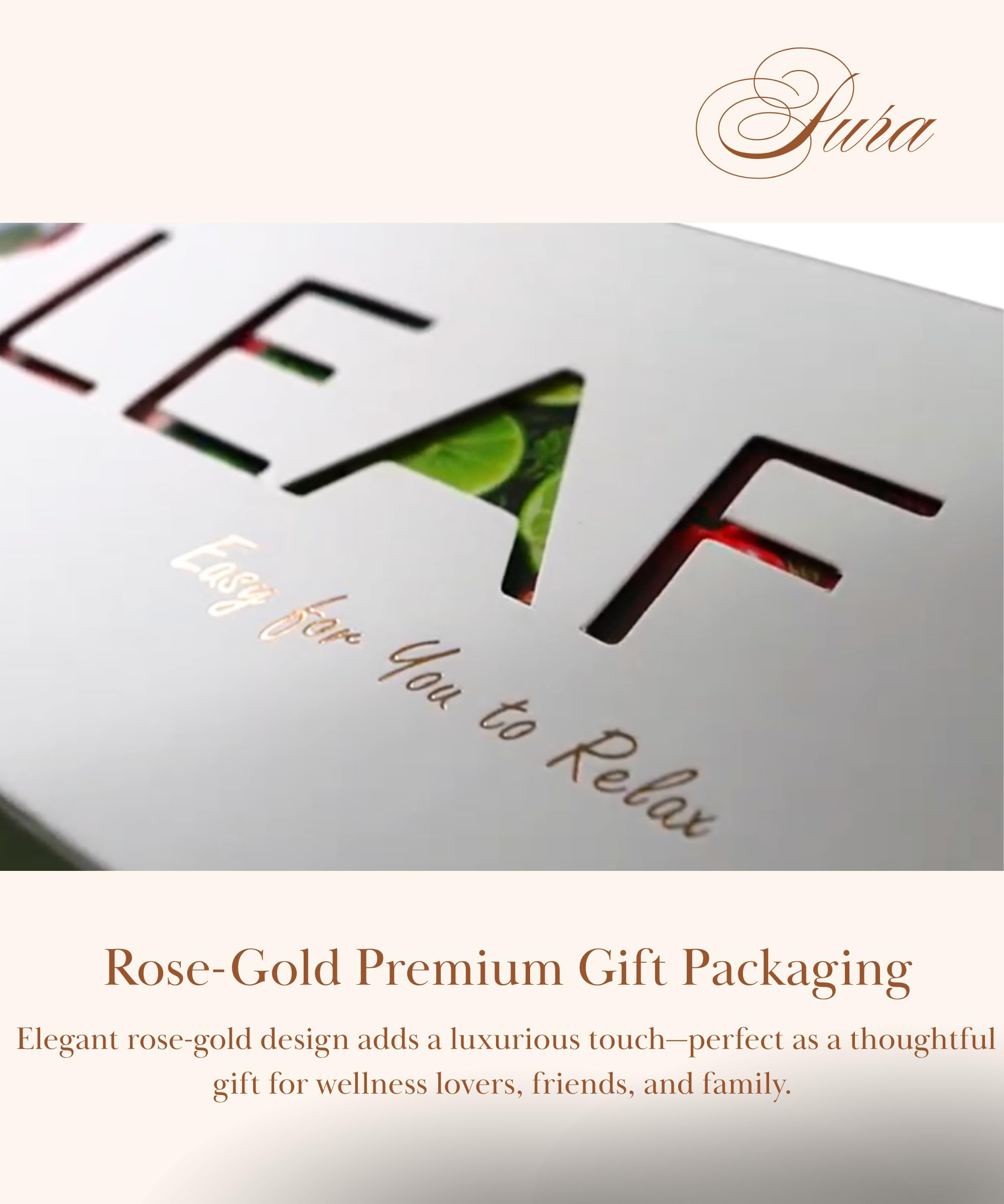 EZR LEAF gift box imagery, elegant packaging for holidays