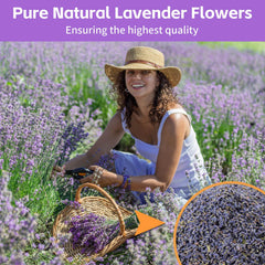 Fangkic lavender for DIY soaps and sachets, delivering vibrant scent.