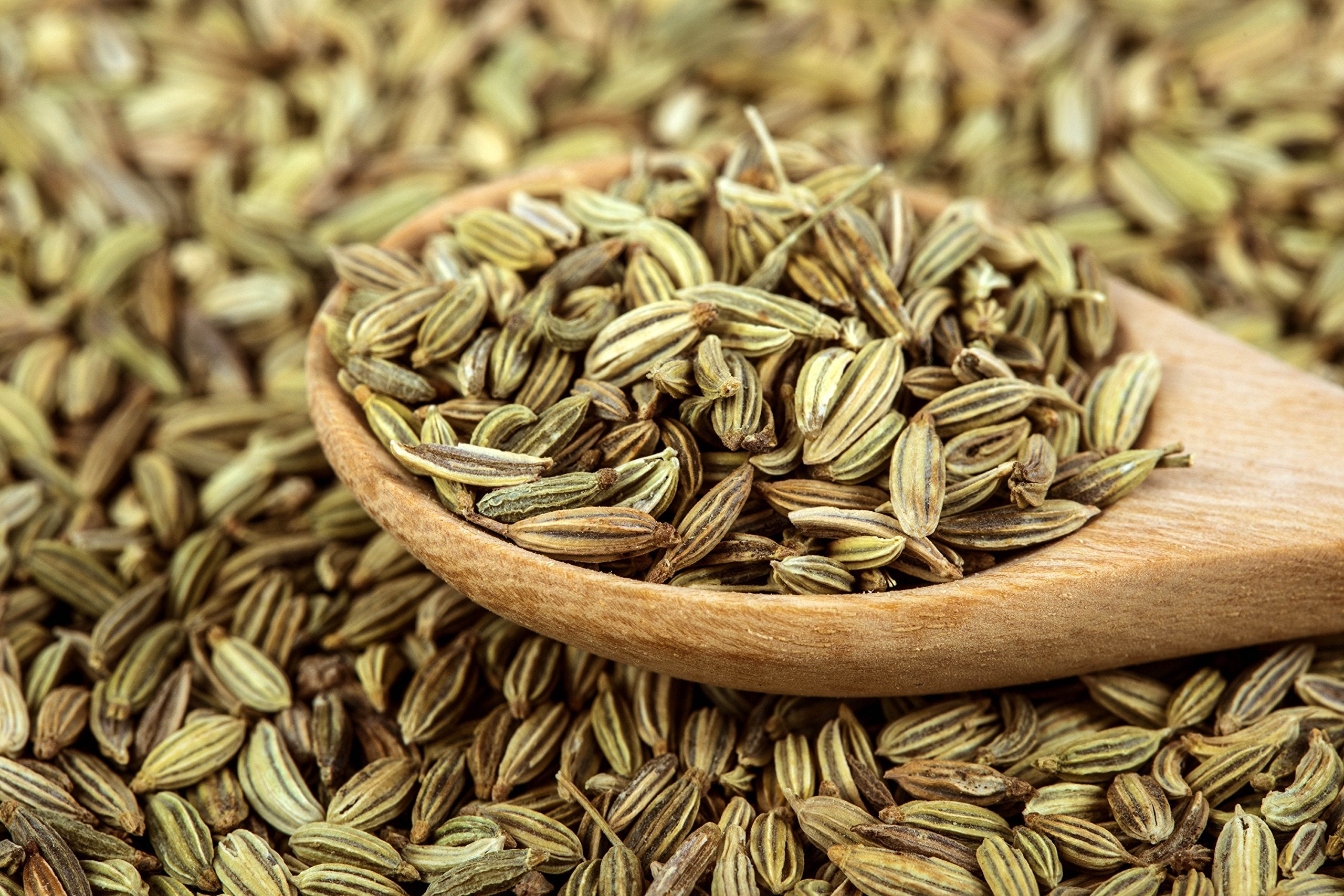 Fennel seeds organic 1lb bag ideal for cooking and tea preparations.