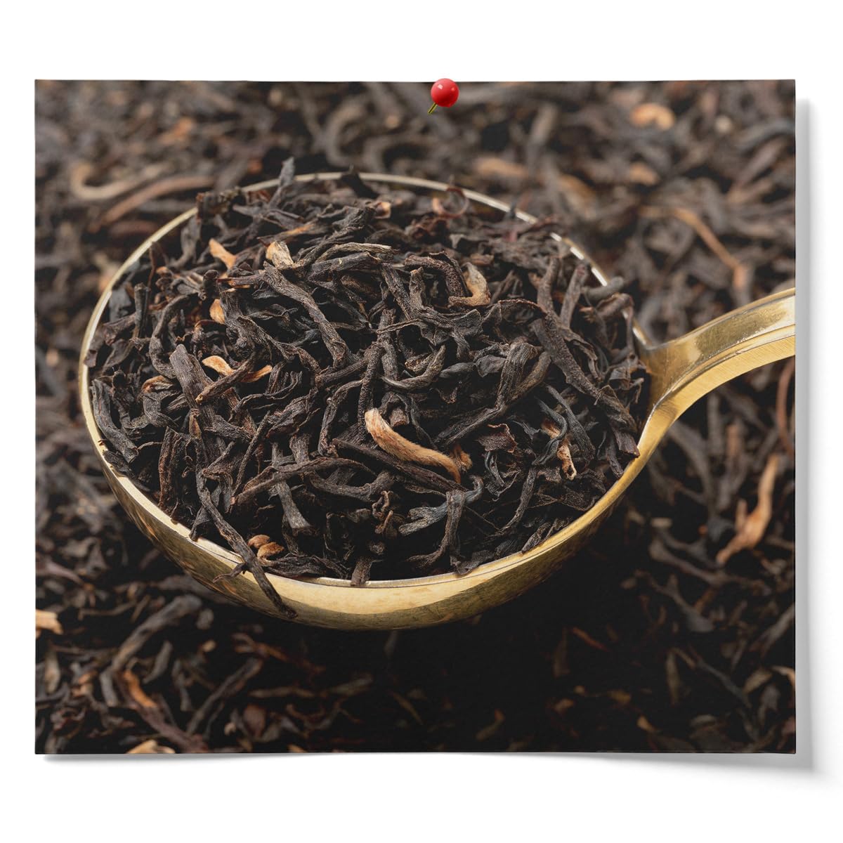 Fermentaholics Assam Black Tea origin from Assam, India