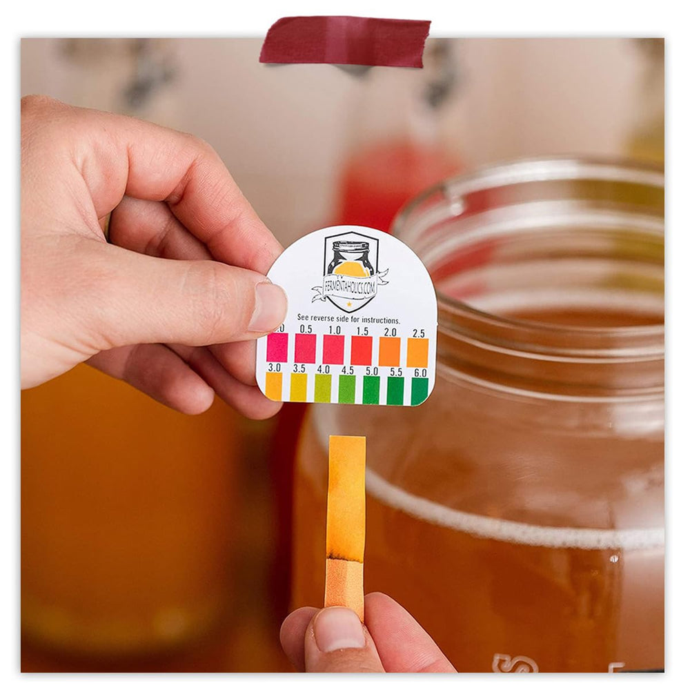 Fermentaholics step-by-step brewing instructions for confident home fermentation