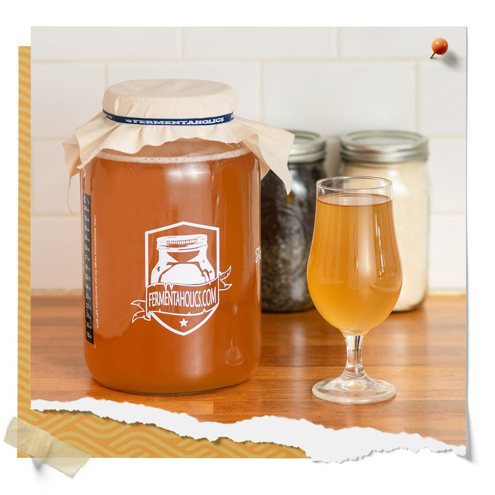 Fermentaholics gift for project-loving friends starting their own brew
