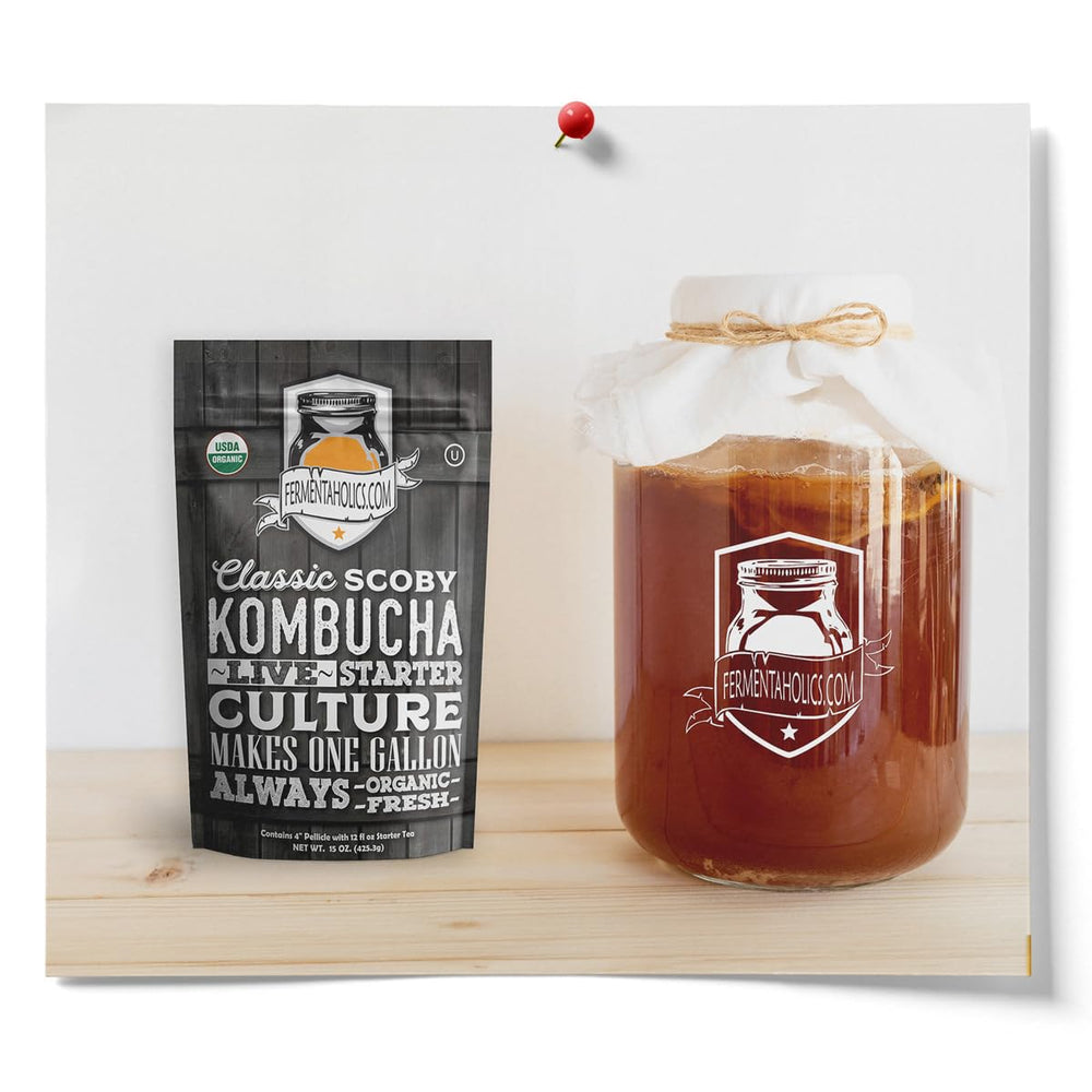 Fermentaholics starter tea bottle packaging for convenient 12-ounce kit.