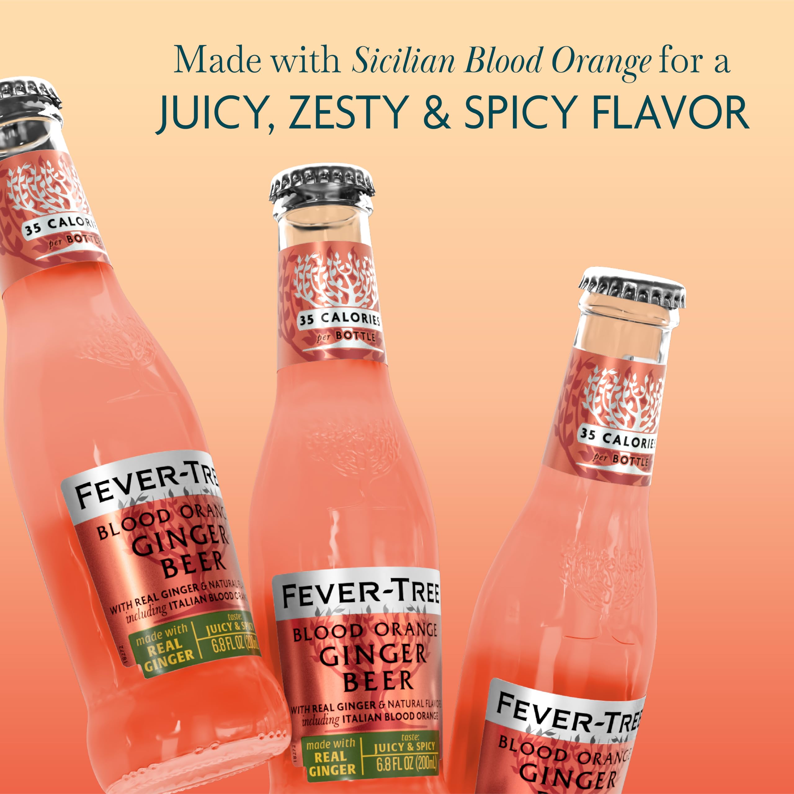 Fever-Tree Blood Orange Ginger Beer 24-bottle pack—great for home bar restock.