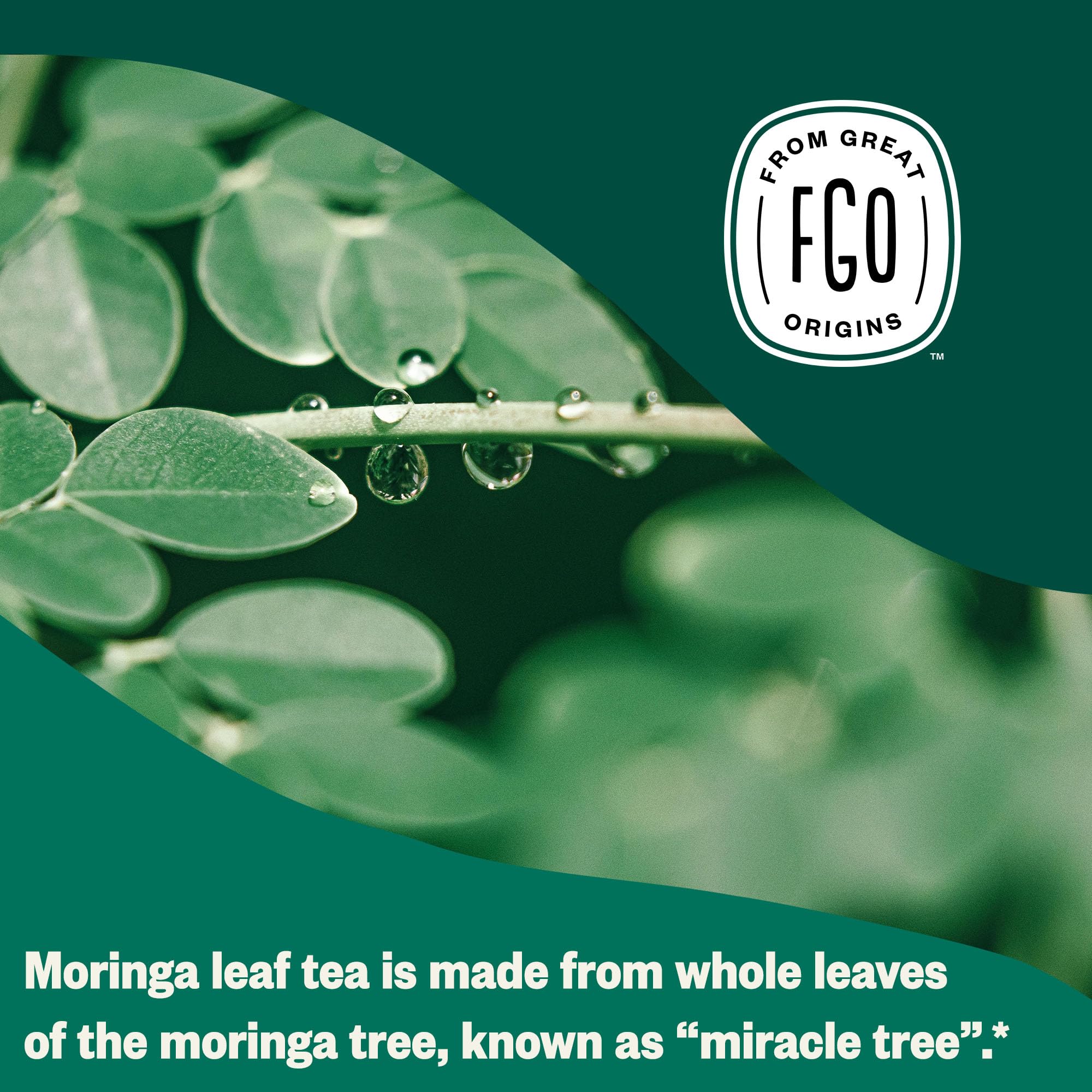 Aromatic steam rising from FGO Moringa Mint Tea reveals fresh mint notes.