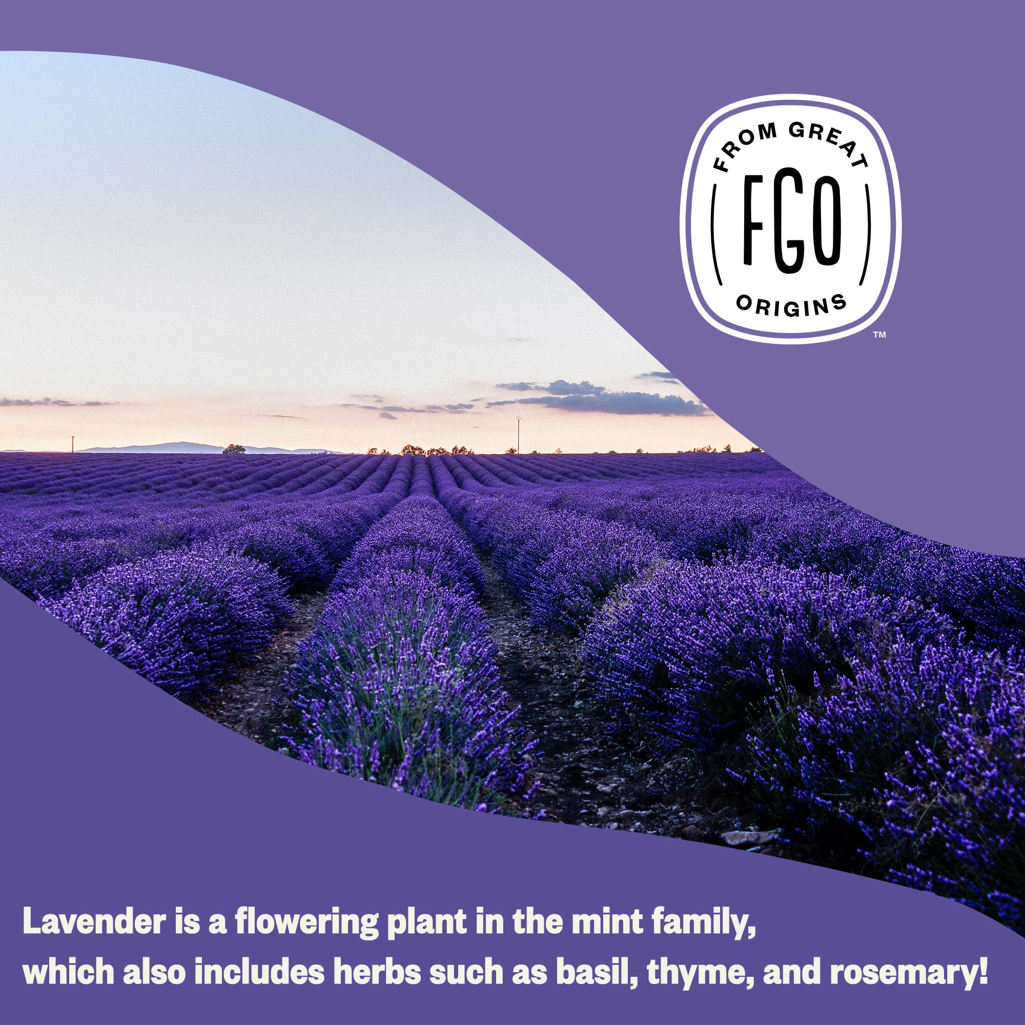 FGO lavender sachets and potpourri arrangement with inviting floral scent