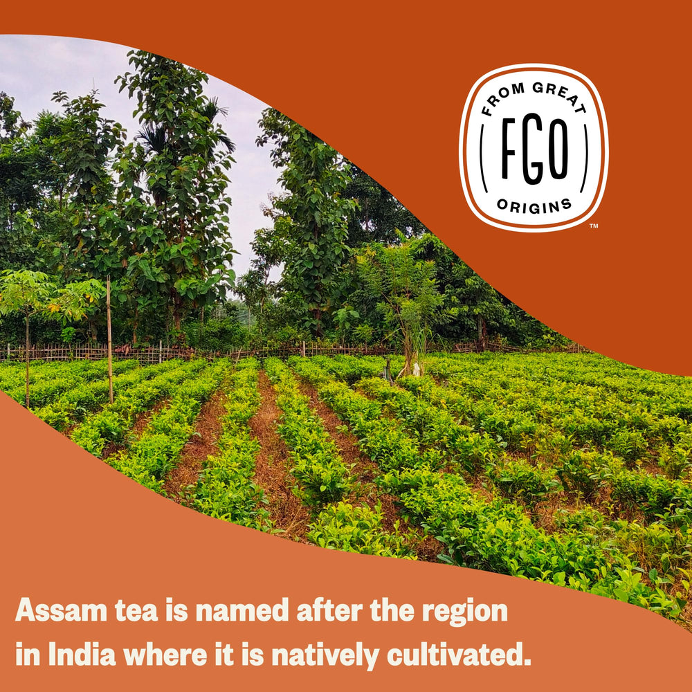 FGO Organic Assam Tea 100-count pack for everyday enjoyment