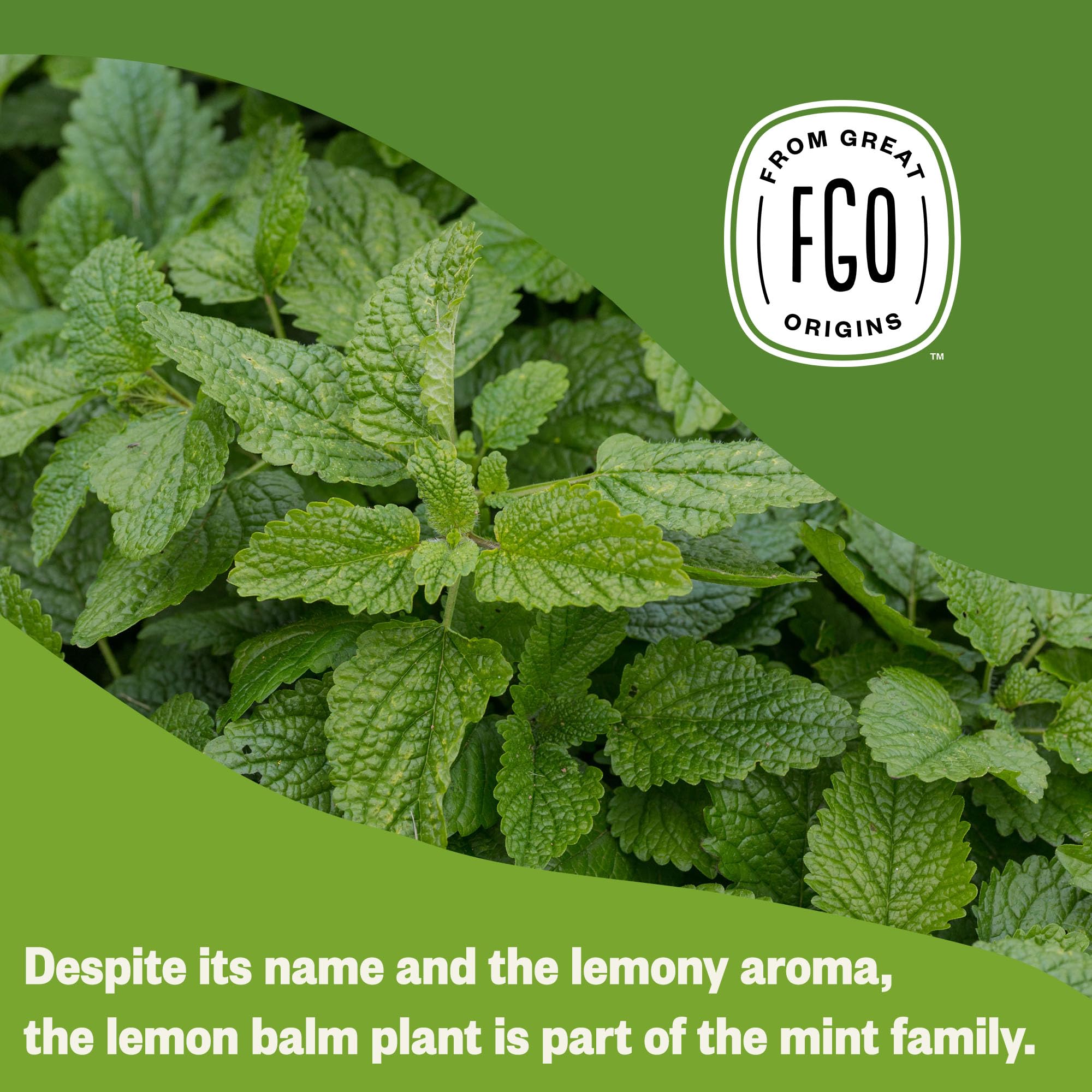 FGO Lemon Balm Tea California-made packaging with foil-lined kraft bags.