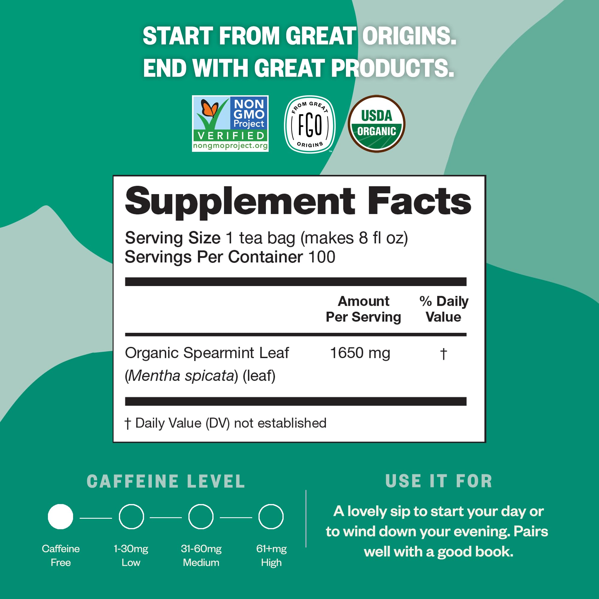 FGO Organic Spearmint Tea with Abaca fiber bags, eco-friendly packaging.