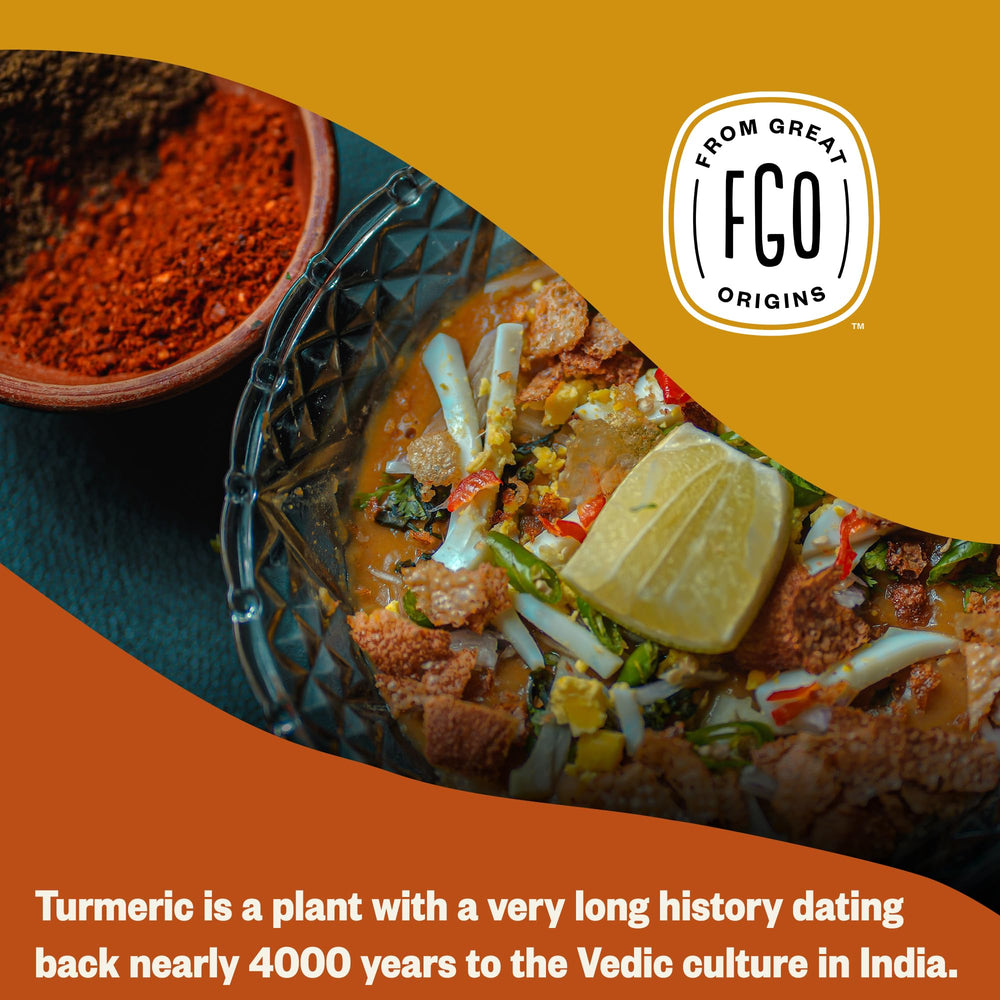 FGO Organic Turmeric Powder packaging from India, authentic spice for your pantry