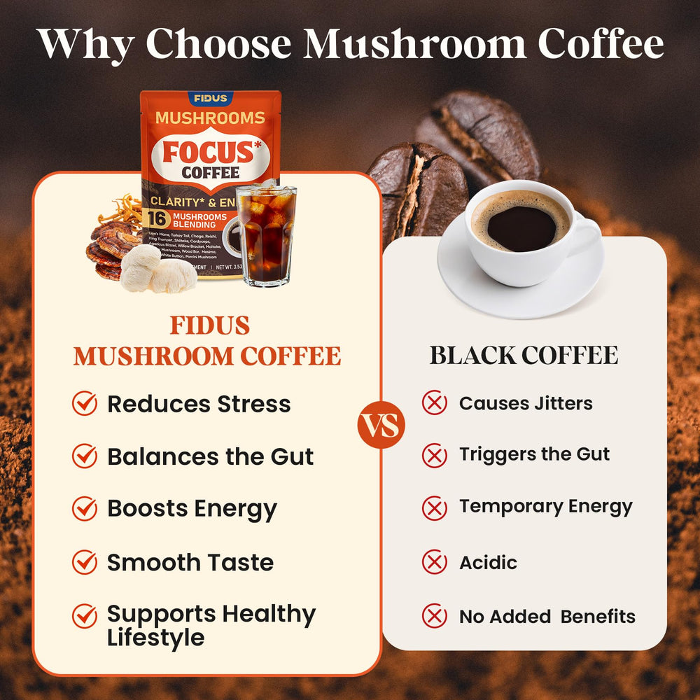 Fidus morning routine with mushroom coffee suggesting focus and steady energy