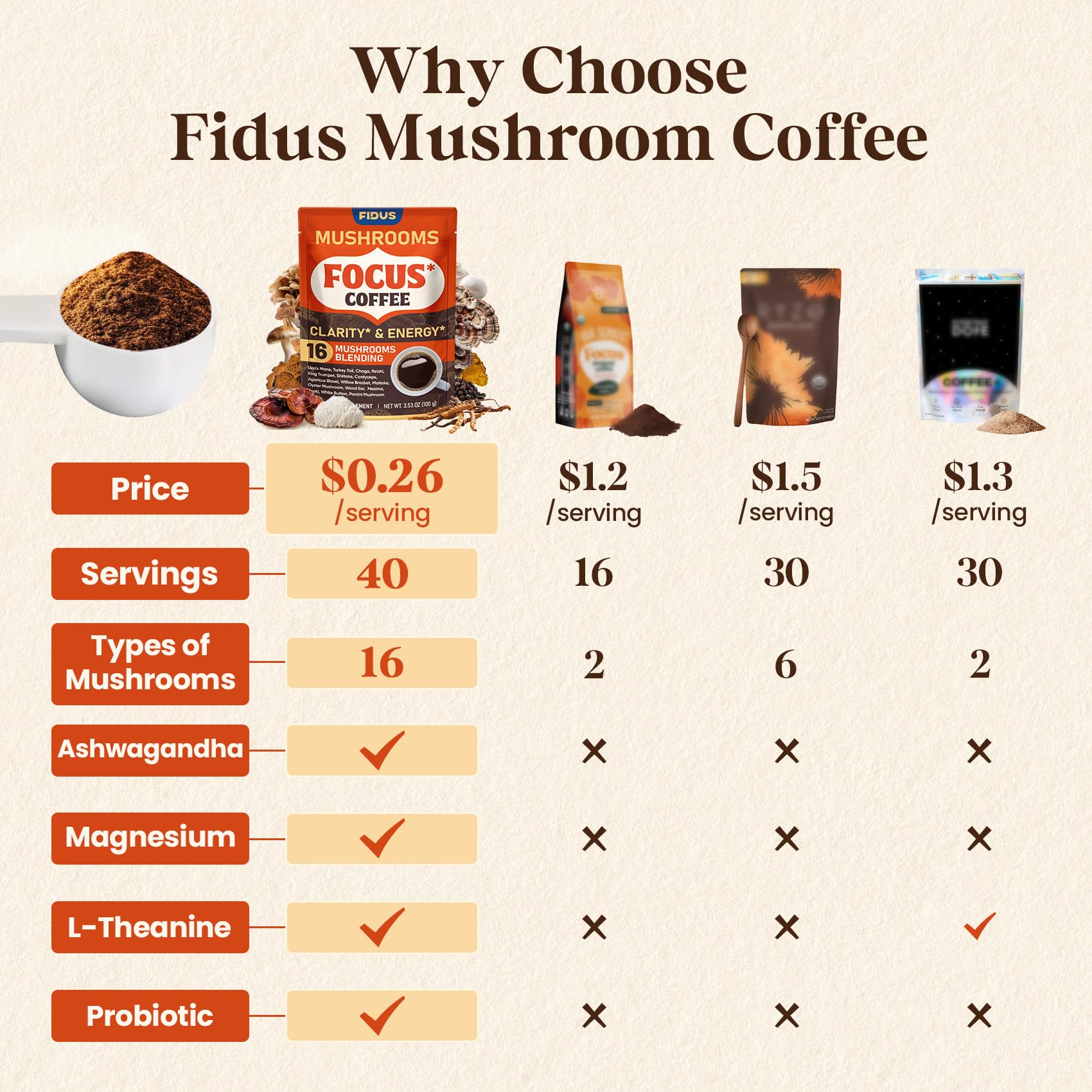 Fidus mushroom ingredients display featuring diverse mushrooms for balance