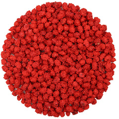 FirstChoiceCandy French Burnt Peanuts on display emphasizes snack-friendly, shareable candy.