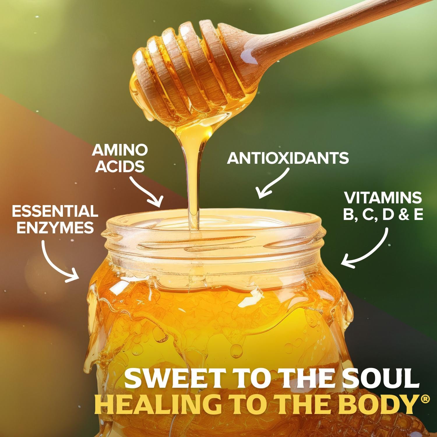 Fischer's honey on kitchen counter highlights convenient daily-use 24 oz packaging.