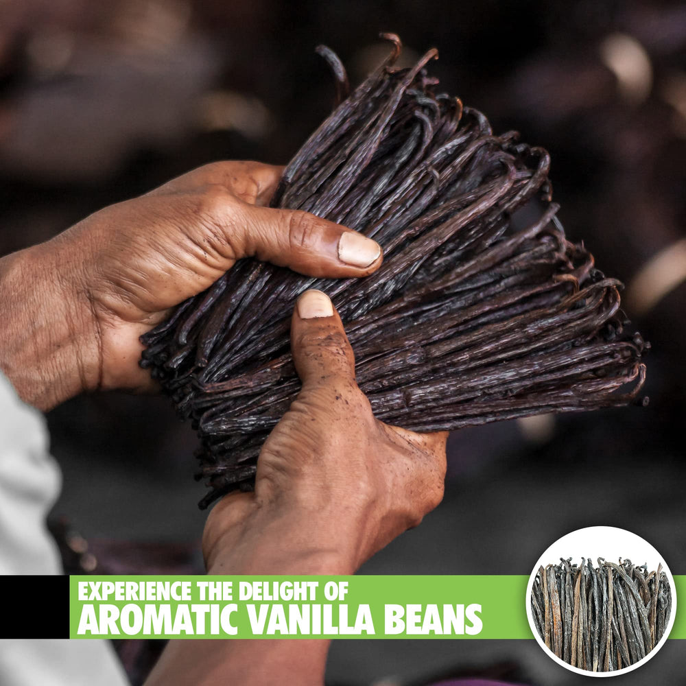 Cut vanilla pods pieces ready for alcohol infusion with FITNCLEAN beans