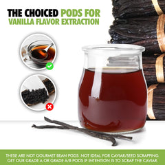 FITNCLEAN vanilla pods 5-7 inches for rich, aromatic flavor.