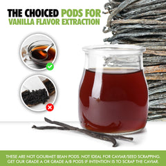 FITNCLEAN vanilla pods cut and prepared for extraction process