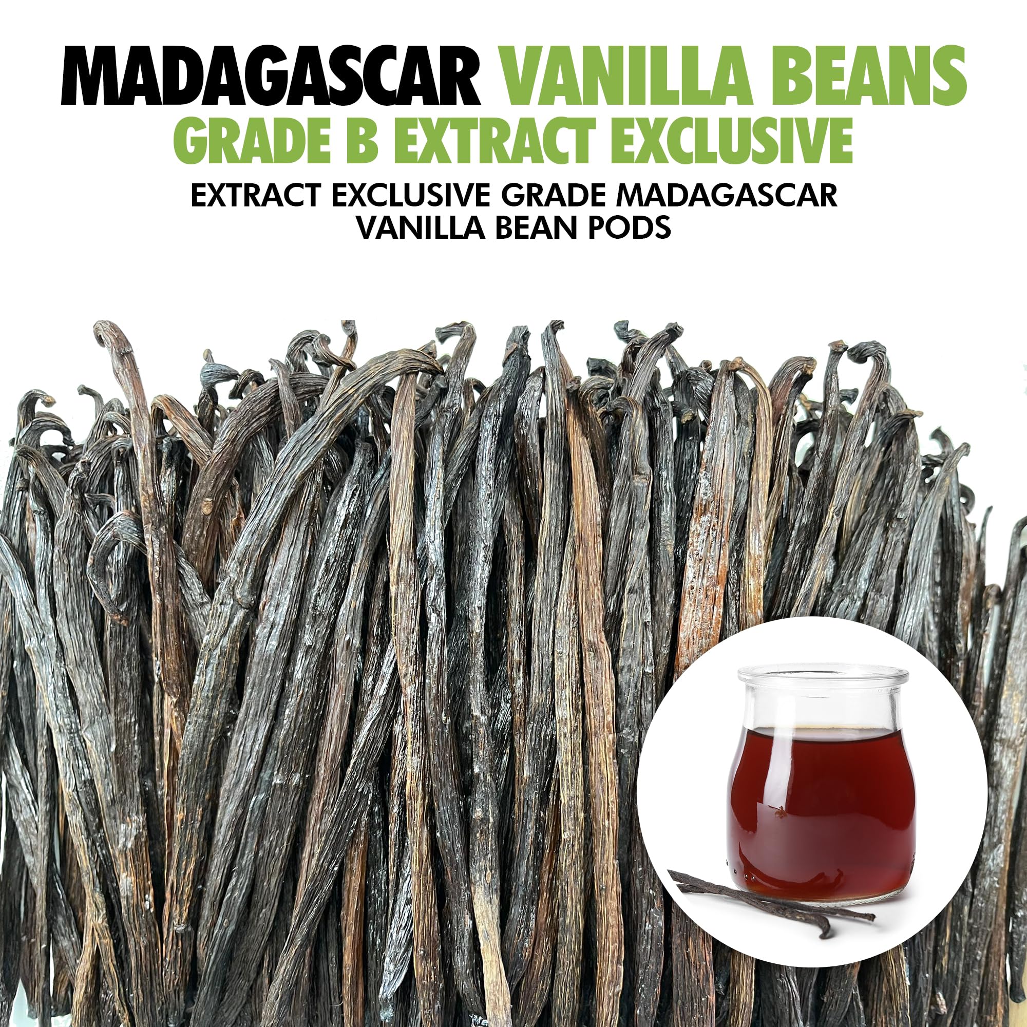FITNCLEAN dried aromatic vanilla beans ready for aroma extraction