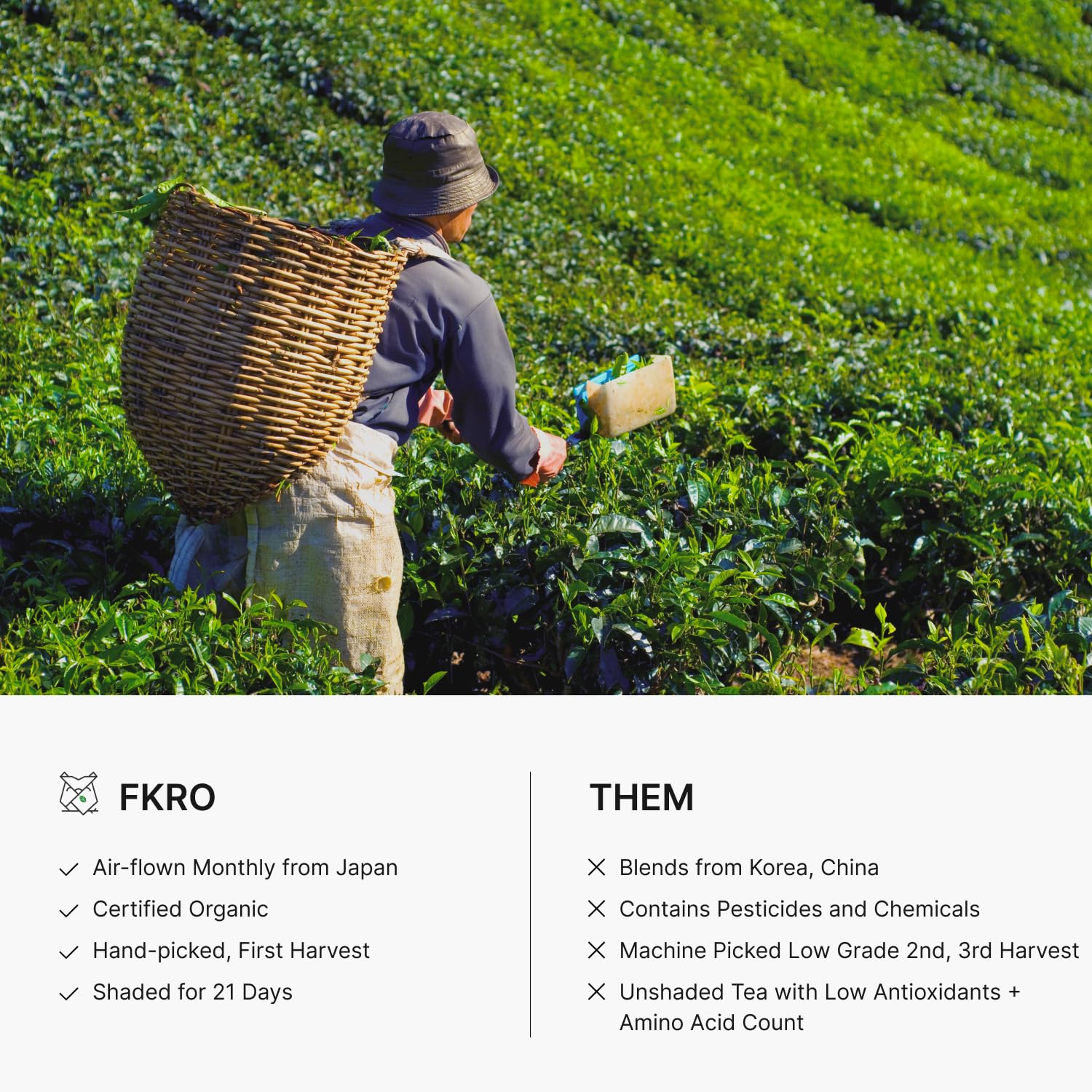 FKRO tin displays Shizuoka heritage and Yoshi family farm story