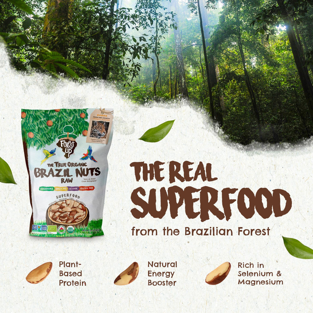 Amazon-harvested Floresta em Pé Brazil nuts offer forest flavor.