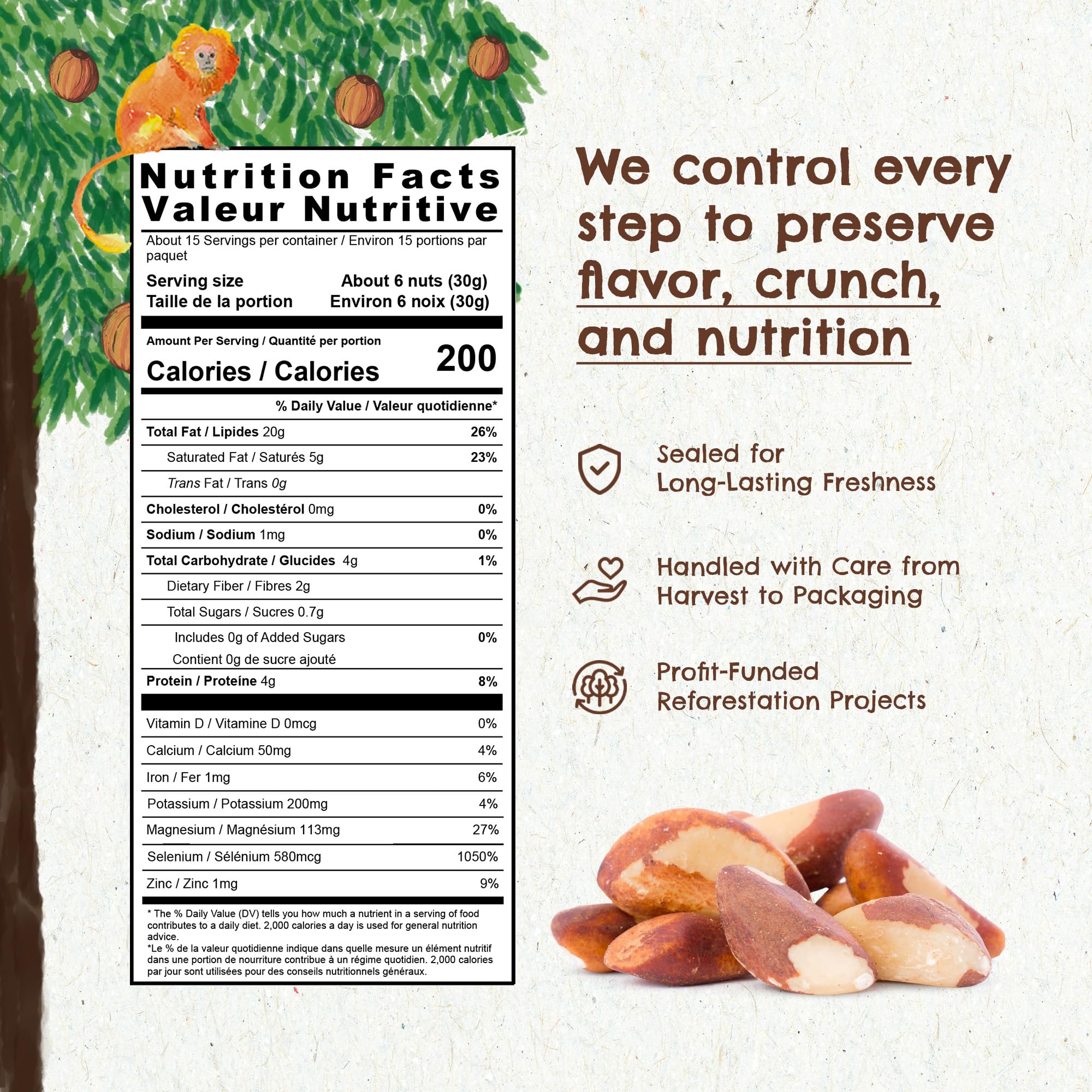 Brazil nuts in bag showing freshness and crunchy texture from Floresta em Pé.