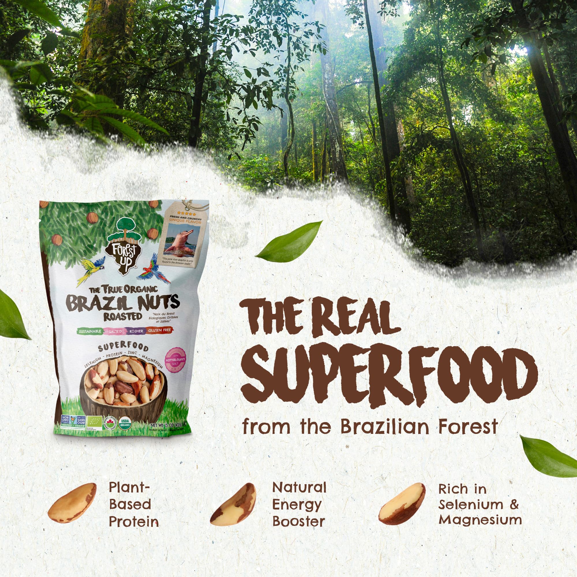 Close-up of crisp roasted Brazil nuts by Floresta em Pé