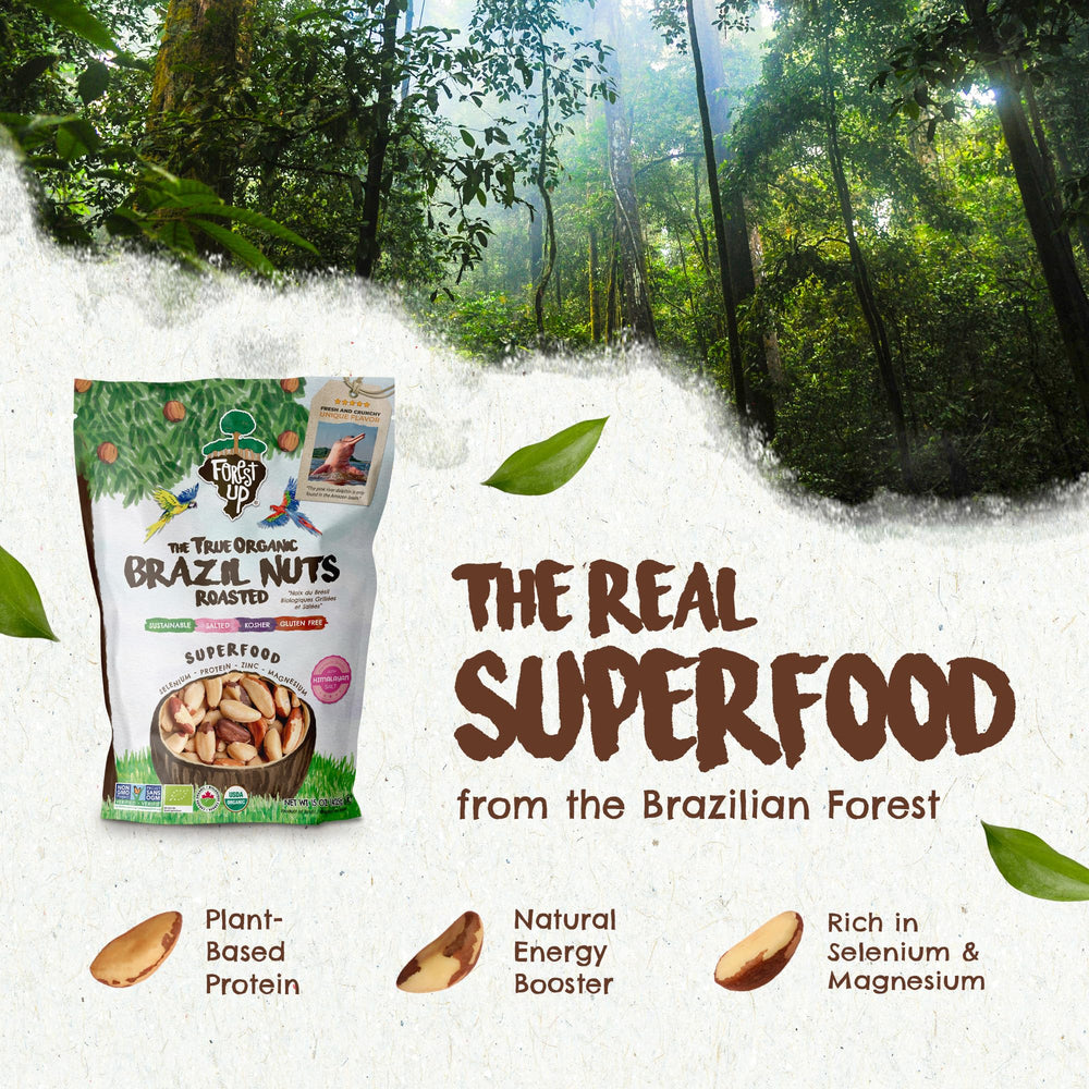 Close-up of crisp roasted Brazil nuts by Floresta em Pé