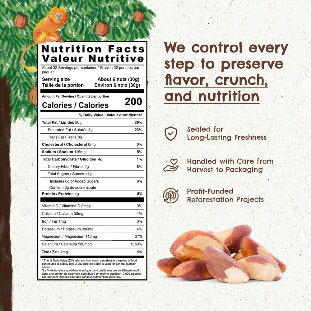 Floresta em Pé Brazil nuts crunch close-up with Himalayan salt.